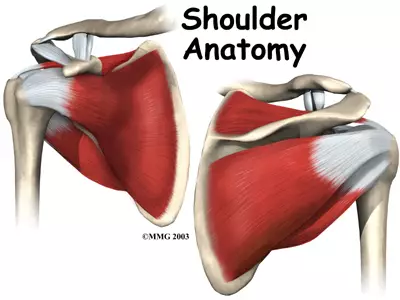Rotator Cuff Injury Treatment in Langley - DIVINE CARE